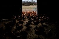 Welcome back to Earth: Say goodbye to blurry eyes, puffy faces, ‘chicken legs’ and a little extra height